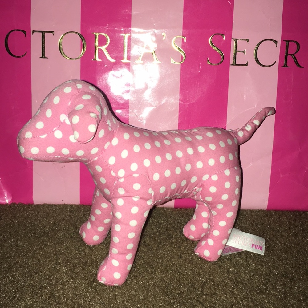 Vs First Edition Dog